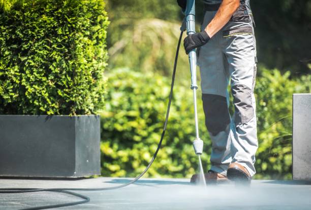 Best Soft Washing  in Naples, FL
