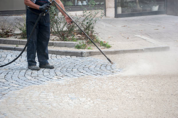 Best Spring Cleaning  in Naples, FL